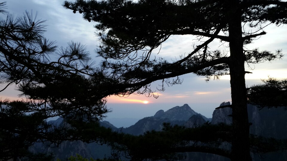 장채기 폰 (36).jpg : 등산동아리 중국 황산 산행